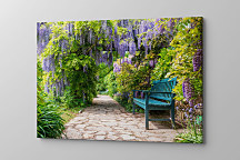 Obraz Vistéria 1888